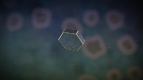 Ver Story Trailer